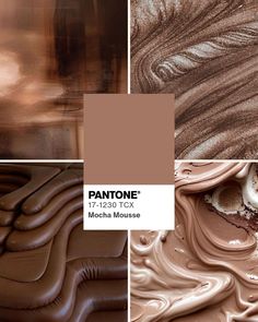 pantone's brown and tan tones are featured in this image with the text