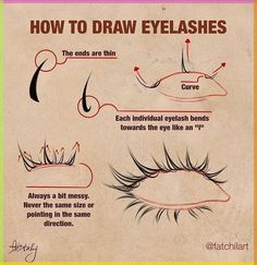 how to draw eyelashes for beginners with step by step instructions on how to do them