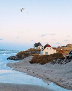 a bird flying over some houses on the beach next to the ocean with waves coming in