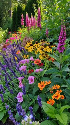 a garden filled with lots of colorful flowers