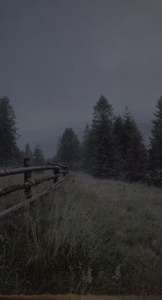 a fence in the middle of a field with trees on both sides and foggy sky above