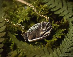 a silver frog necklace sitting on top of green leaves