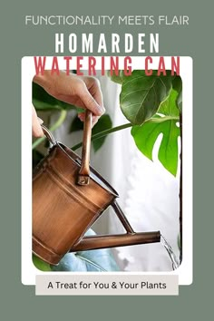 a person holding a watering can over a potted plant with the words, functionality meets flair