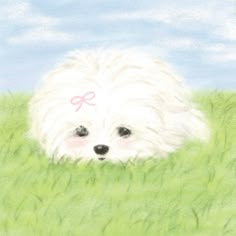 a white dog laying in the grass with a pink bow on it's head