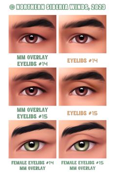 the different types of eyes for females