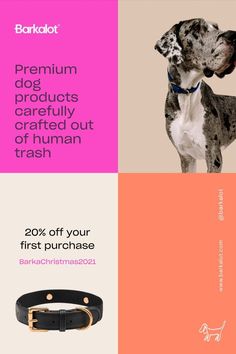 Barkalot premium dog collars and leashes Dog Marketing, Pet Essentials, Vegan Dog