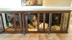 three dogs are sitting in their kennels and looking out the window at the camera