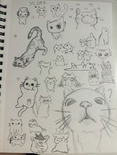 a notebook with drawings of cats and kittens on it