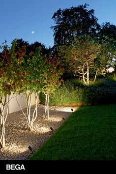 some trees and bushes are lit up by the moon in the night sky, along with gravel