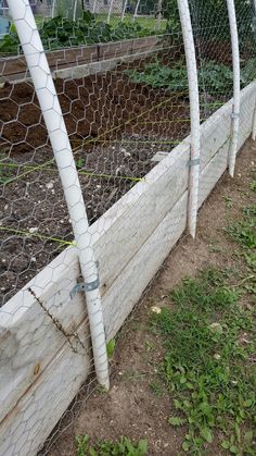 an image of a fenced in vegetable garden