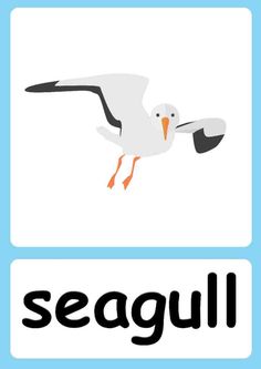 the words seagull are written in black and white, with an orange beak