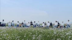 a group of people sitting on top of a lush green field next to tall grass