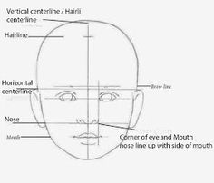 a drawing of the face with different parts labeled in each side and on top of it