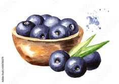 blueberries in a wooden bowl with green leaves on the side, watercolor painting