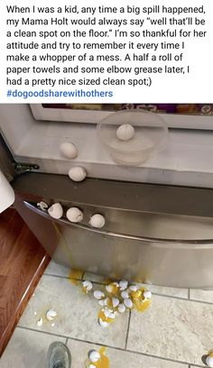 an image of food on the floor in front of a stove with eggs coming out of it