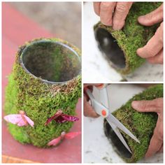 moss covered vase being cut with scissors and surrounded by other pictures showing how to make it