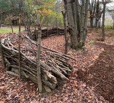 a pile of branches sitting in the middle of a forest next to trees and leaves