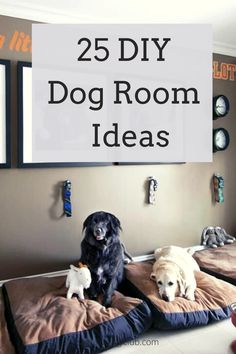 dog room ideas Dog Room Color Ideas, Pet Spaces In Home Living Room, Unfinished Basement Dog Area, Place For Dog In House, Doggie Room Ideas Bedrooms, Dog Room In Laundry Room, Home Office Dog Room