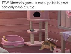 a cat sitting on top of a wooden floor next to a pink turtle in a bathroom