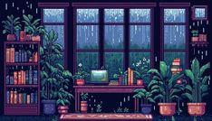 an image of a room with plants and books on the windowsills in the rain