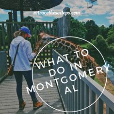 a person standing on a bridge with a giraffe in the background that says what to do in montgomery al