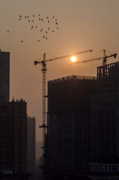 the sun is setting behind some tall buildings and birds are flying in the sky above them