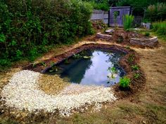 a small pond in the middle of a garden with gravel around it and plants growing on top