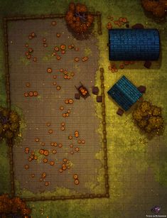 an overhead view of a game with lots of oranges on the ground and trees in the background