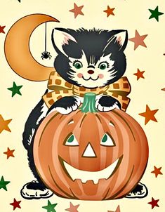 a black and white cat sitting on top of a pumpkin