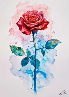 a watercolor painting of a single red rose