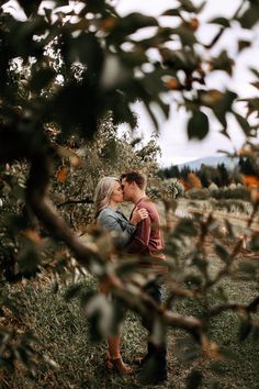 a man and woman kissing in an apple orchard