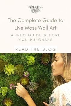 the complete guide to live moss wall art - a info guide before you purchase read the blog