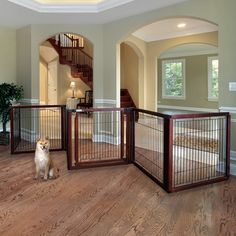 a dog is sitting in the middle of a room with two gates open to let people inside