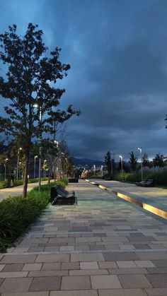 an empty street with benches and trees on the side walk at night under a cloudy sky