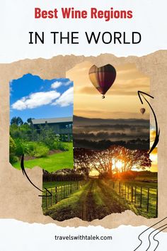 the words best wine regions in the world with images of hot air balloons and trees