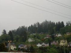 houses on a hill with power lines above them