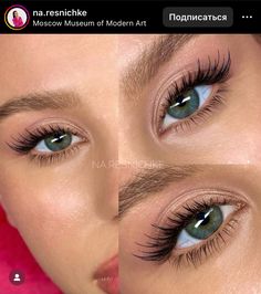 Lashes For Big Almond Eyes, Mermaid Lash Extensions, Lash Extensions For Eye Shape, Natural Wispy Wet Lash Extensions, Fox Wispy Lashes, Natural Full Lash Extensions, Eyelash Extensions For Asian Eyes, 2d Lash Extensions, Cateye Lashextensions