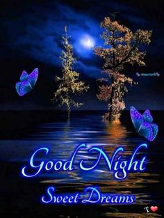 good night sweet dreams with butterflies flying over water and trees in the background at night