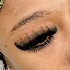 Freestyle Lash Extensions, D Curl Lash Map, D Curl Lash Extensions, Lash Mapping, Cat Eye Lash