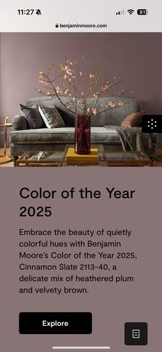 the color of the year is pantone's living room paint scheme, which has been