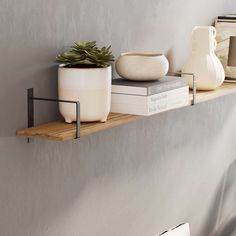 a shelf with two books and a potted plant on it