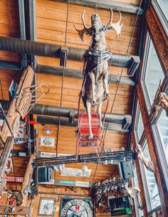 a room filled with lots of assorted items on the walls and ceiling in it