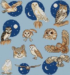 cross stitch pattern with owls on blue background