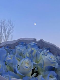 a bouquet of blue roses sitting on top of a table