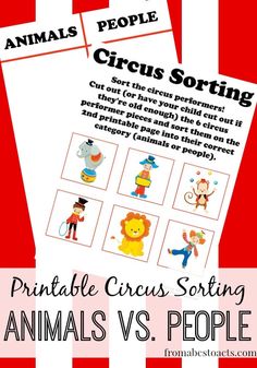 an animal themed circus sorting activity for kids