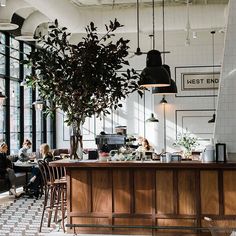 people sitting at tables in a restaurant with plants hanging from the ceiling and large windows