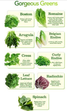 the different types of lettuce are shown in this chart