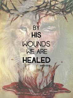 a lion with the words by his wounds we are healed