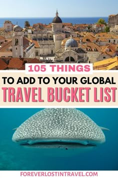 a whale swimming in the ocean with text overlay that reads,'things to add to your global travel bucket list '