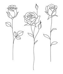 three roses are shown in black and white, one is drawn on the back ground